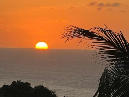 Aparthotel 6 guests, with garden