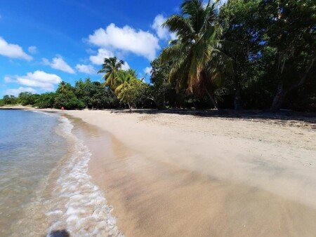 Appart'Hotel 1 chambre, avec jacuzzi