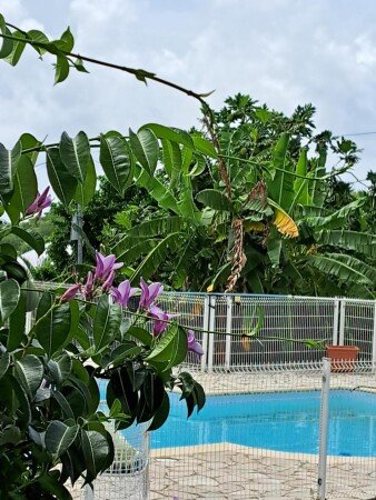 Bed and breakfast 1 chambre, avec piscine