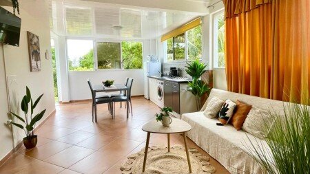 Appartement 1 chambre, avec jardin