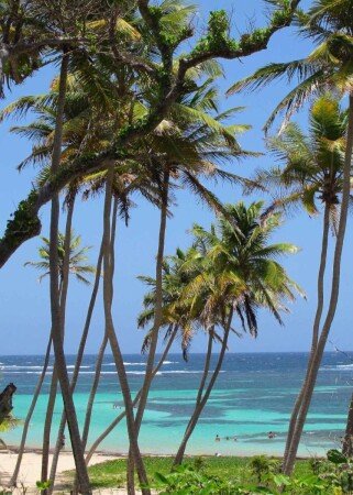 Maison 7 voyageurs, avec piscine