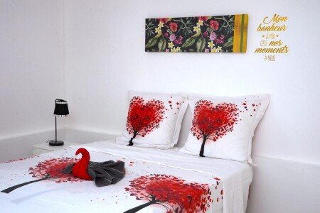 Appartement 6 voyageurs, avec jacuzzi