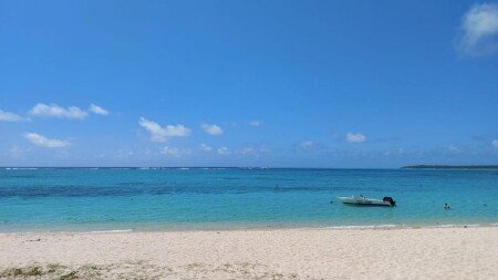 Appartement 1 chambre, avec jardin
