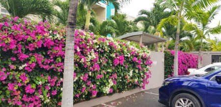 Appartamento 3 camere, con piscina