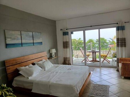 Appartement 1 chambre, avec climatisation