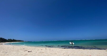 Maison 4 chambres, avec jardin