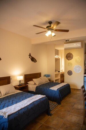 Appartement 1 chambre, avec climatisation