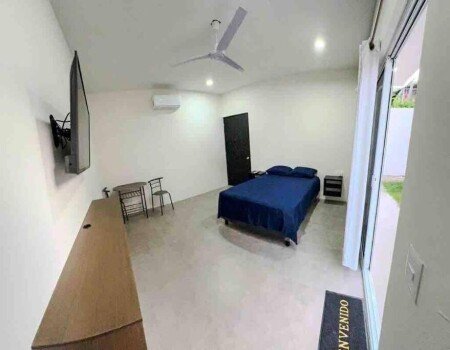 Apartamento 1 habitación, con jardín