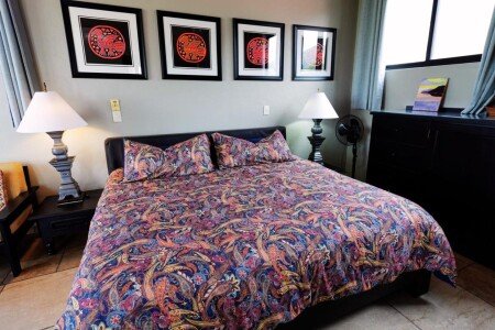 Apartamento 1 habitación, con aire acondicionado