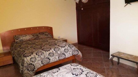 Apartment 1 bedroom, with garden