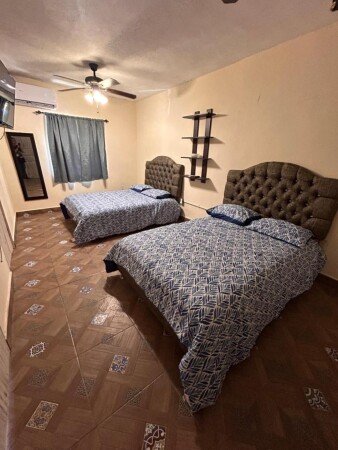 Apartment 1 bedroom, with garden