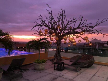 Apartamento 1 habitación, con piscina