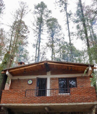 Bed and breakfast 1 habitación, con jardín