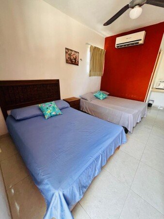 Apartamento 1 habitación, con piscina