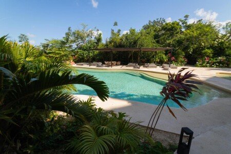 Apartment 1 bedroom, with jacuzzi