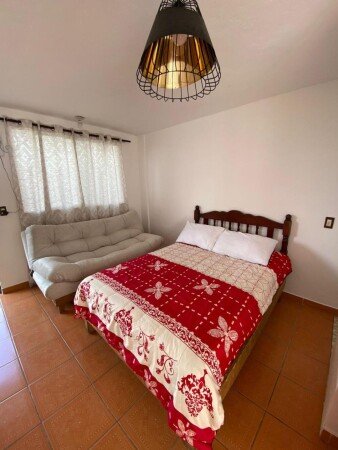 Apartamento 1 habitación, con jardín