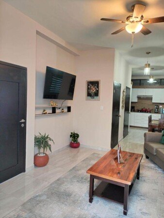 Apartamento 1 habitación, con jardín