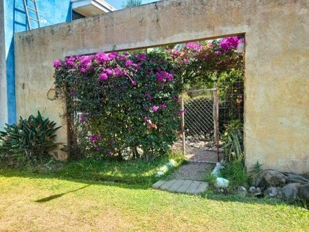 Apartamento 2 habitaciones, con jardín