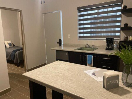 Apartment 1 bedroom, with garden