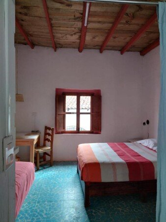 Apartamento 1 habitación, con jardín