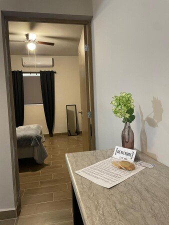 Apartamento 1 habitación, con jardín