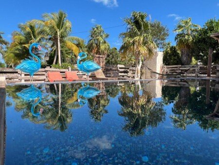 Hotel con piscina
