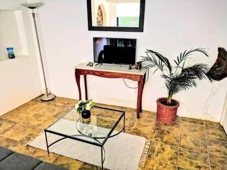 Apartamento 1 habitación, con jardín
