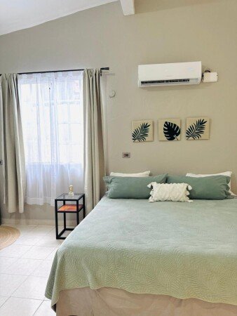 Apartamento 1 habitación, con jardín