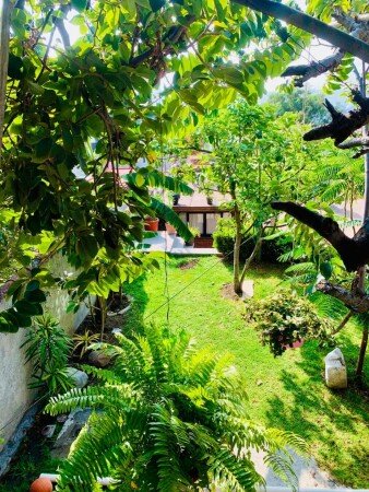 Casa 3 habitaciones, con jardín