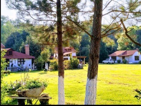Bed and breakfast 8 huéspedes, con jardín