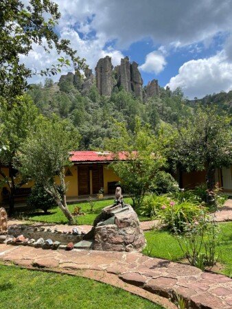 Hotel con jardín