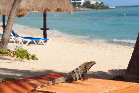 Apartamento 1 habitación, con aire acondicionado