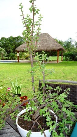 Bed and breakfast 4 voyageurs, avec piscine