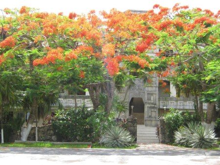 Apartment 6 guests, with garden