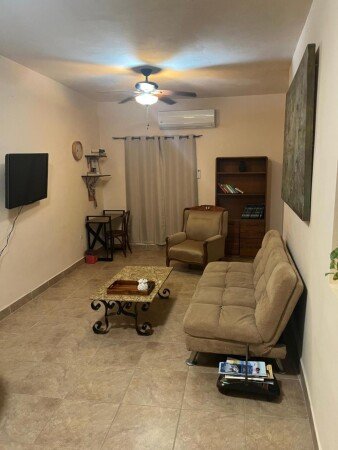 Appartement 1 chambre, avec jardin