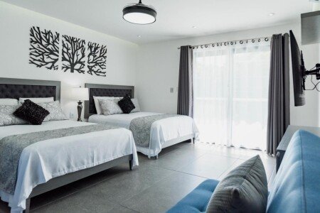 Apartamento 1 habitación, con piscina