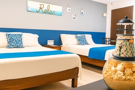 Apartamento 1 habitación, con aire acondicionado