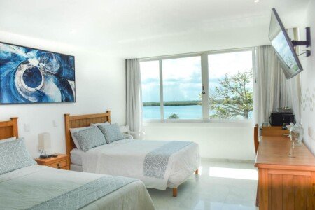 Apartment 1 bedroom, with jacuzzi