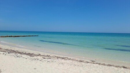 Apartamento 1 habitación, con piscina