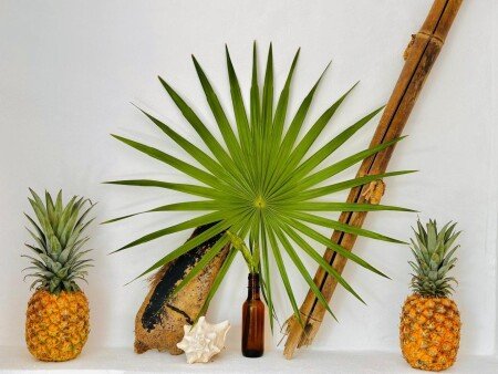 House 1 bedroom, with garden