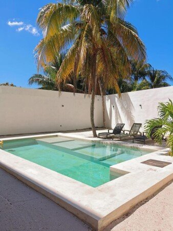 Appartement 1 chambre