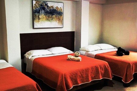 Apartamento 1 habitación, con jardín