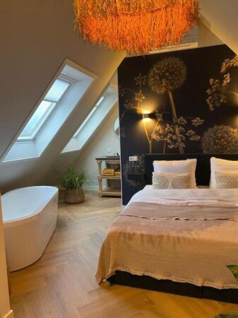 Appartement 1 chambre, avec jardin