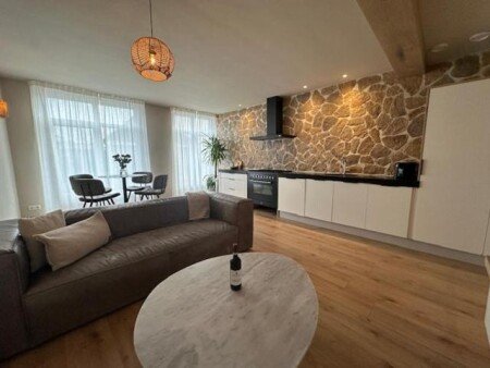 Appartement 2 voyageurs, avec jacuzzi