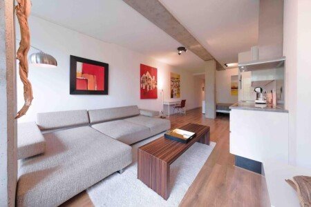 Appartement 1 slaapkamer, met tuin