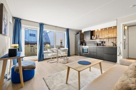 Appartement cozy, 1 chambre, avec wifi