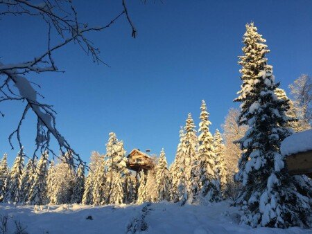 Hébergement insolite 8 voyageurs, avec jardin