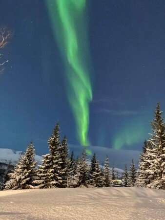 Appartement 1 slaapkamer, met tuin