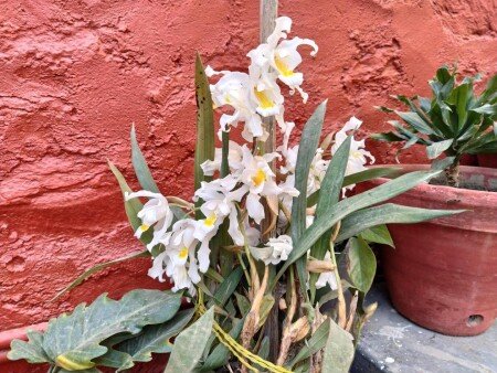 Bed and breakfast 3 guests, with wifi