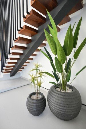 Bed and breakfast 1 bedroom, with pool